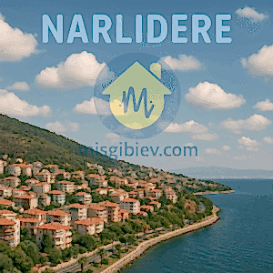 Narlıdere Ev Temizliği – vannicvespal.cfd