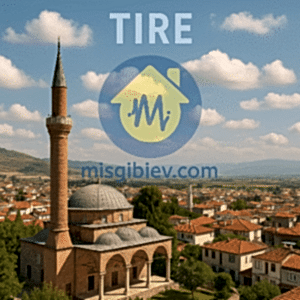 Tire Ev Temizliği – vannicvespal.cfd